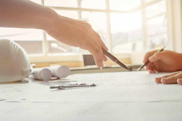 Renato de Castro Longo Furtado Vianna